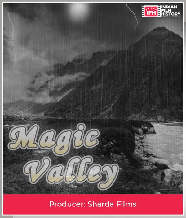 Magic Valley (1928) poster