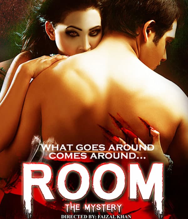 Room - The Mystery (2015) movie poster
