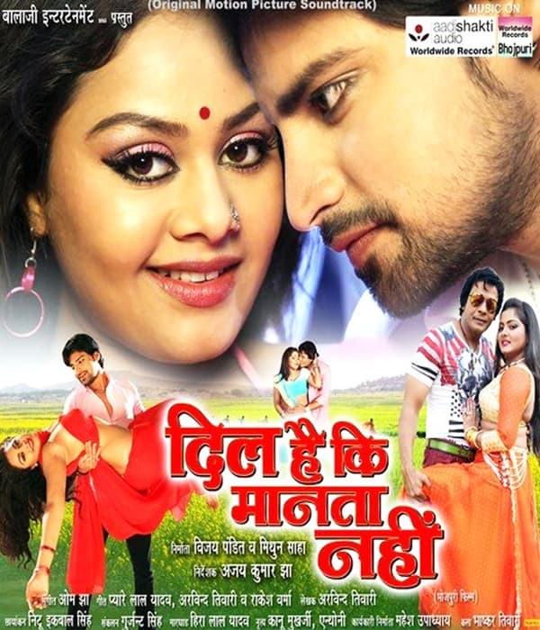 Dil Hai Ki Manta Nahi (2016) movie poster