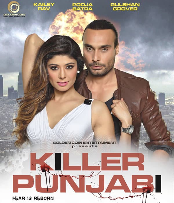 Killer Punjabi (2016) movie poster