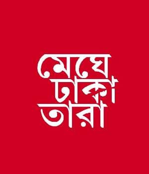 Meghe Dhaka Tara (2013) movie poster