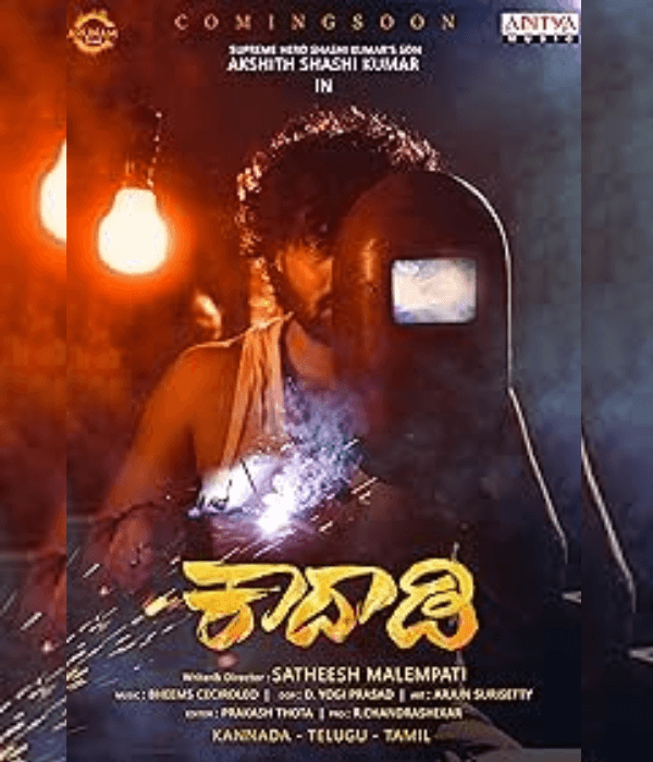 Kaadaadi (2024) poster