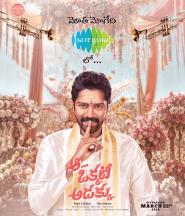 Aa Okkati Adakku (2024) poster