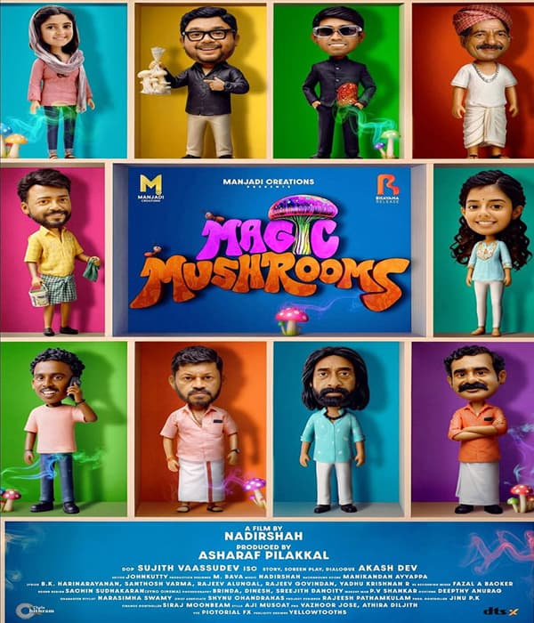 Magic Mushrooms (2026) poster