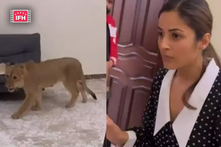 Actor-Singer Shehnaaz Gill Shares A Hilarious Video Of Spotting A Lion Cub