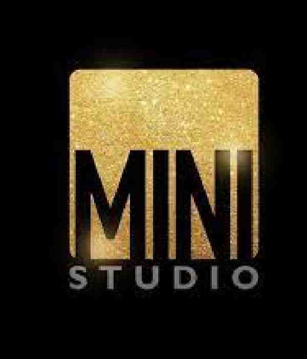 Mini Studios logo