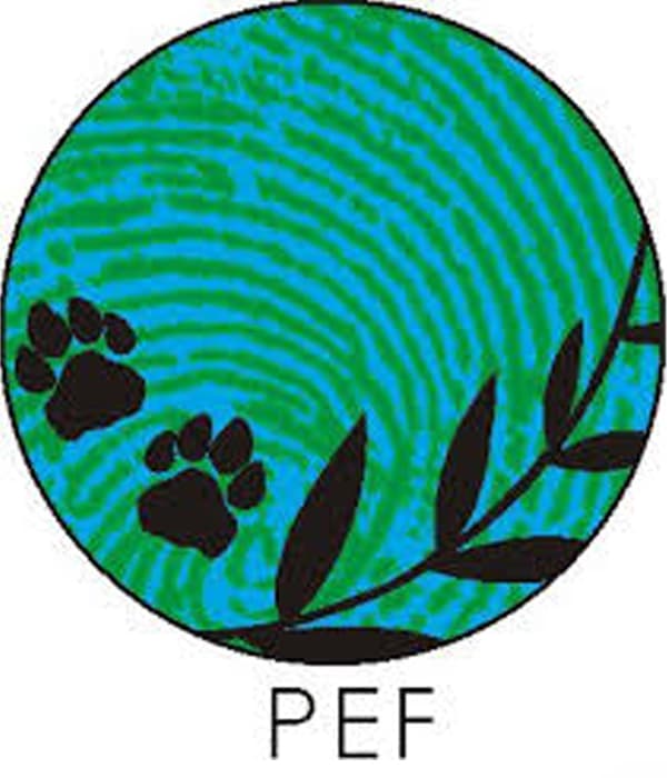 Protecterra Ecological Foundation logo