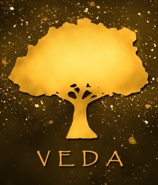 Veda Media House logo