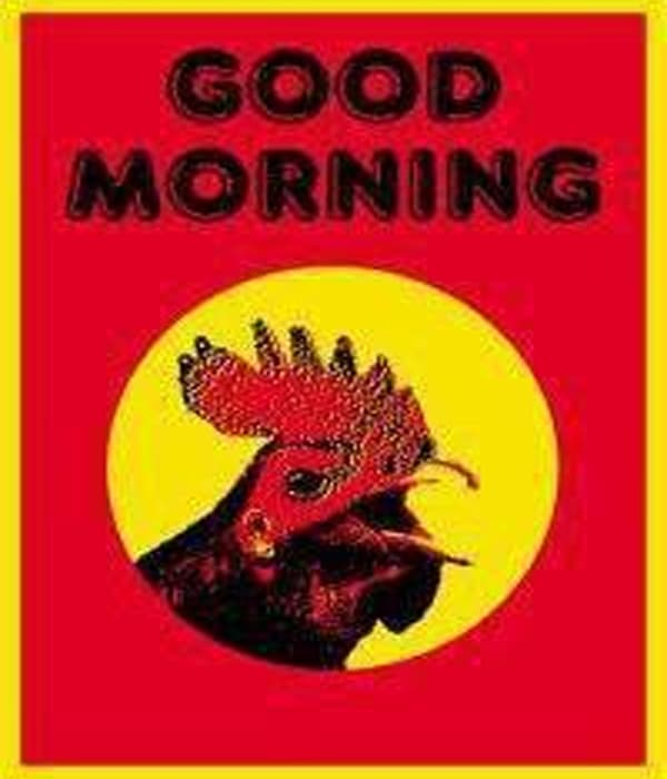 Good Morning Films logo