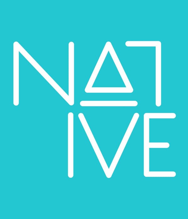 Native Films logo