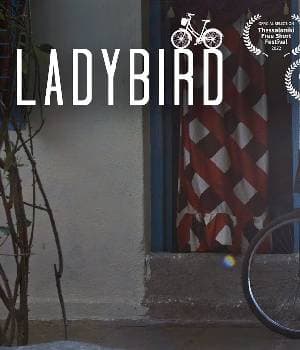 Ladybird