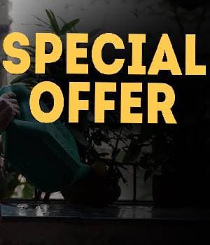 Special Offer