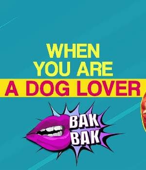 When You Are A Dog Lover