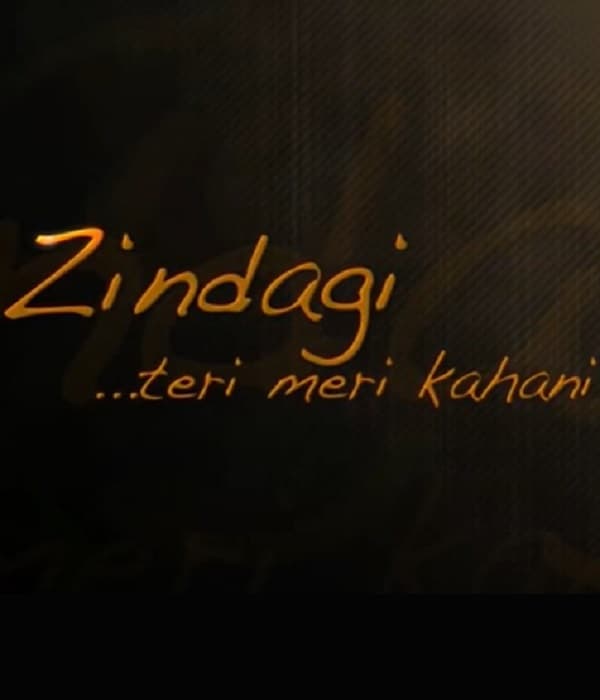Zindagi Teri Meri Kahani