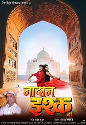 Nadaan Ishq Ba (2019) movie poster