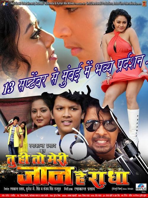 Tuhi To Meri Jan Hai Radha (2013) movie poster