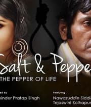 Salt 'N' Pepper (2012) poster