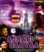 Ajnabi Saaya (1989) movie poster