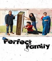 Perfect Family (2019) poster