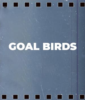 Goal Birds (1931) poster