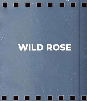 Wild Rose (1931) poster