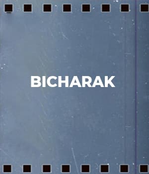 Bicharak (1929) poster