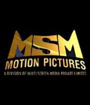 MSM Motion Pictures logo