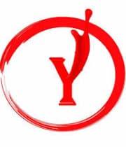 Y Star Cine & Television Pvt Ltd logo