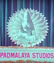 Padmalaya Studios Pvt Ltd logo