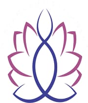 Nirvana Motion Pictures Limited logo