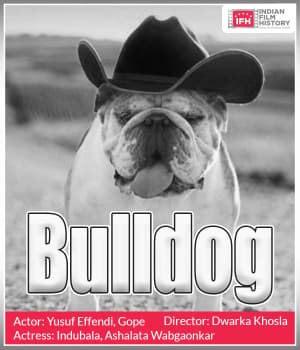 Bulldog (1937) poster