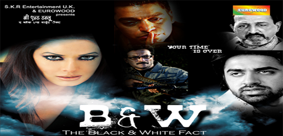 B & W: The Black and White Fact