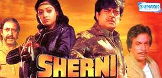 Sherni